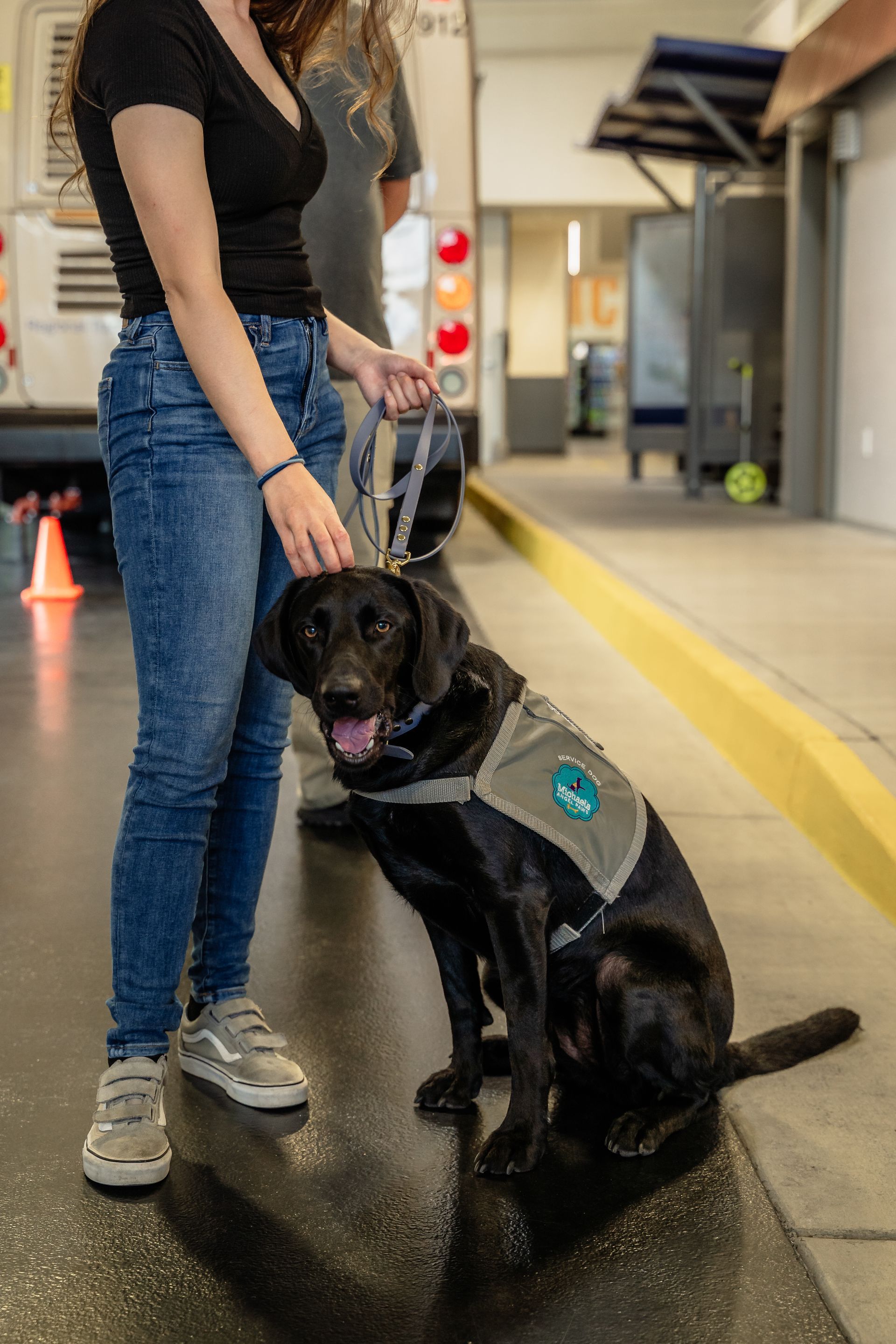 A person in blue jeans pets a black service dog in a harness sitting on a floor in an indoor transit station.