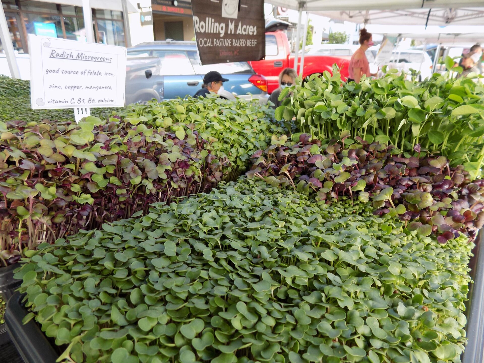Sweet Retreat Orchard PickYourOwn Farm Hillsborough NC