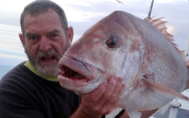 Fish on His Nibs II out of Whakatane