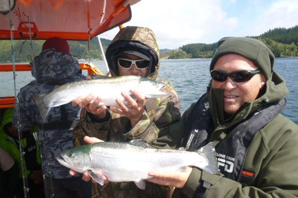 Trout catching