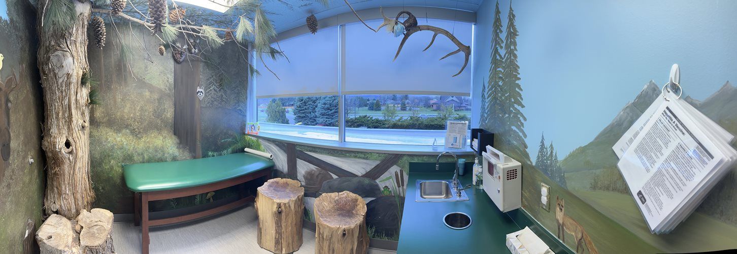 Tropical-themed room with a green bench, hanging branches, a window view, and a small desk on the right.
