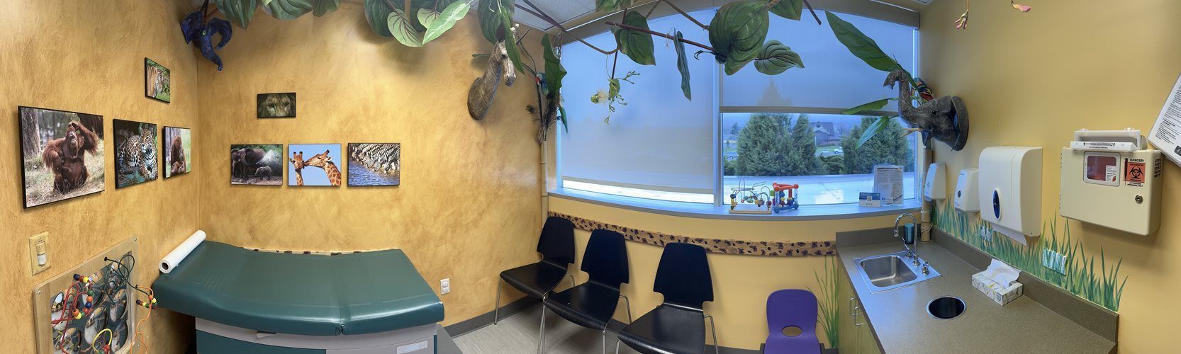 Treatment room with exam table, chairs, wall photos, and a window with greenery outside.
