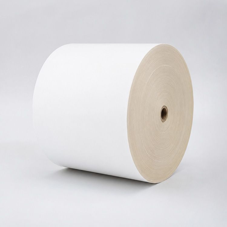 single side PE coated paper roll