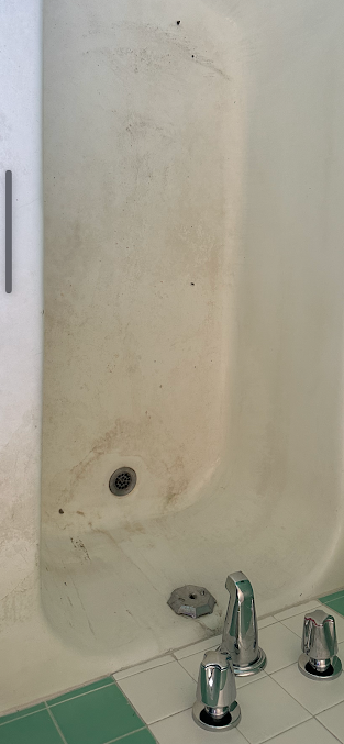 Dirty bathtub with fixtures. White tub interior with brown stains. Green and white tile floor.