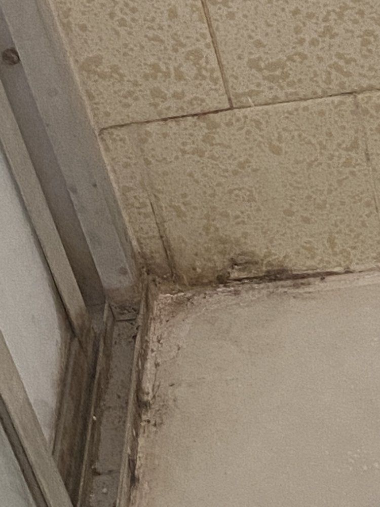 Corner of a room with water damage on ceiling tiles and wall.