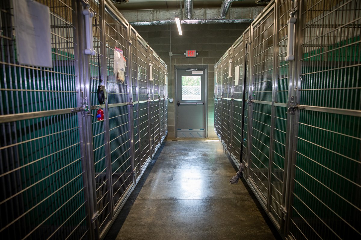 Animal Kare Center of Paducah