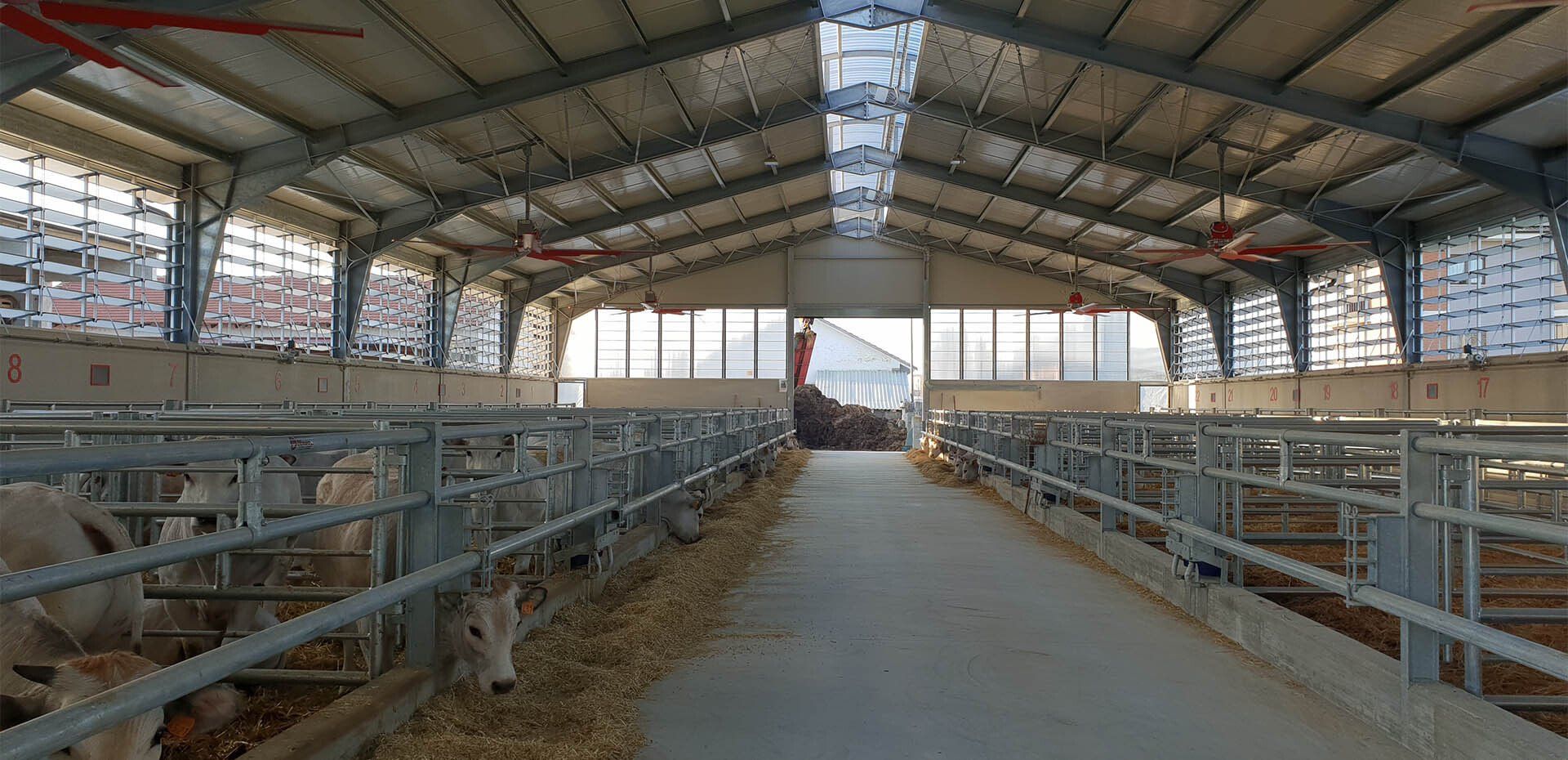 barriera-alimentazione per ovicaprini