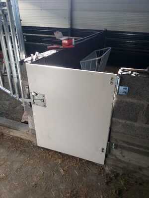 box per suini​