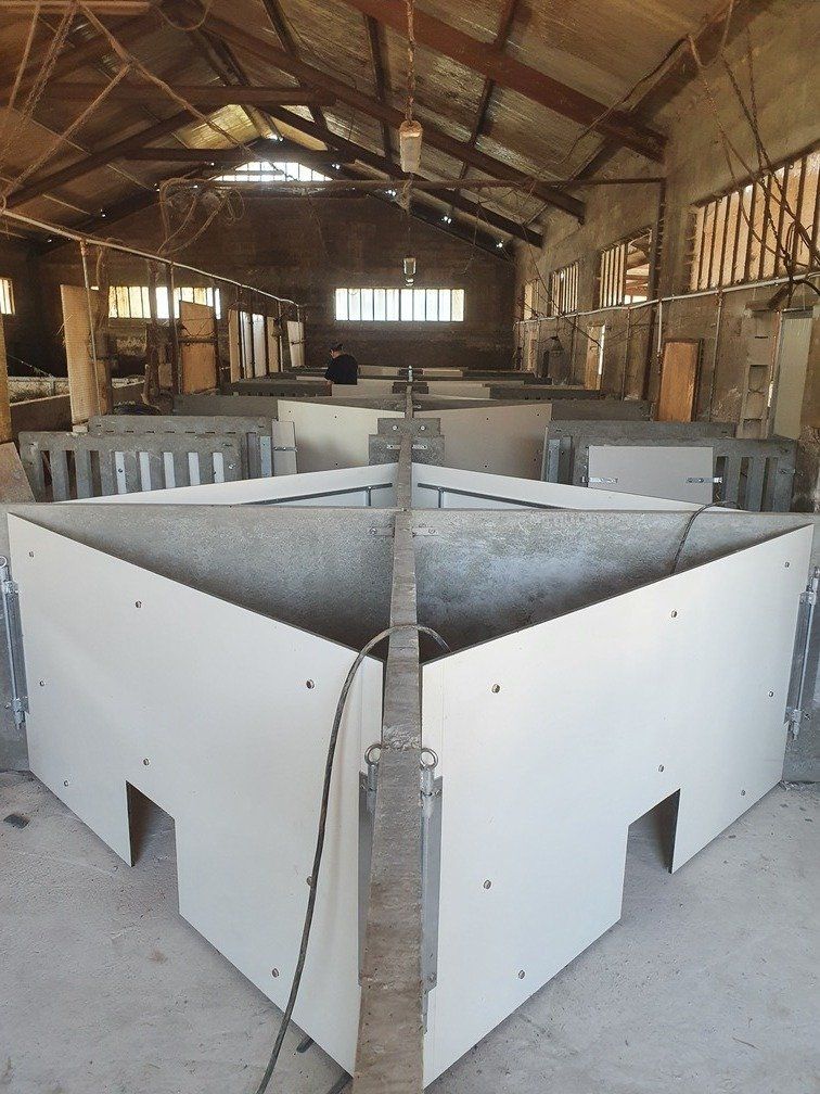 box per suini​
