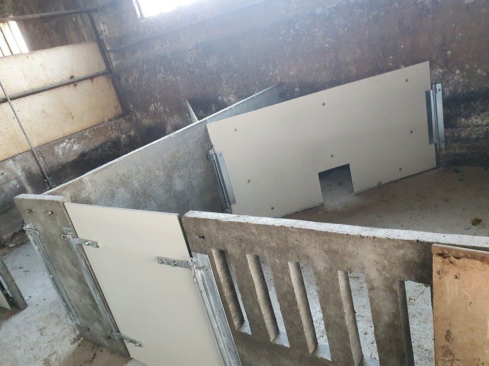 box per suini​