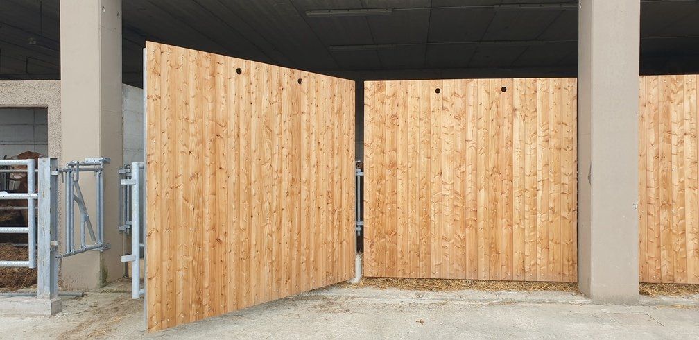 box_e_cancello_speciale_per_bovini