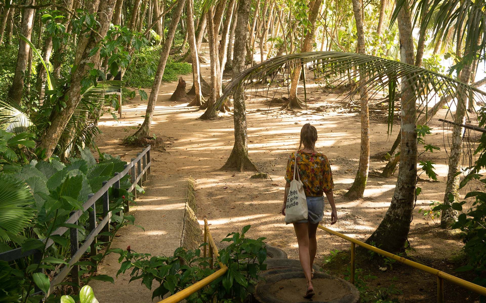 Hike in Gandoca-Manzanillo
