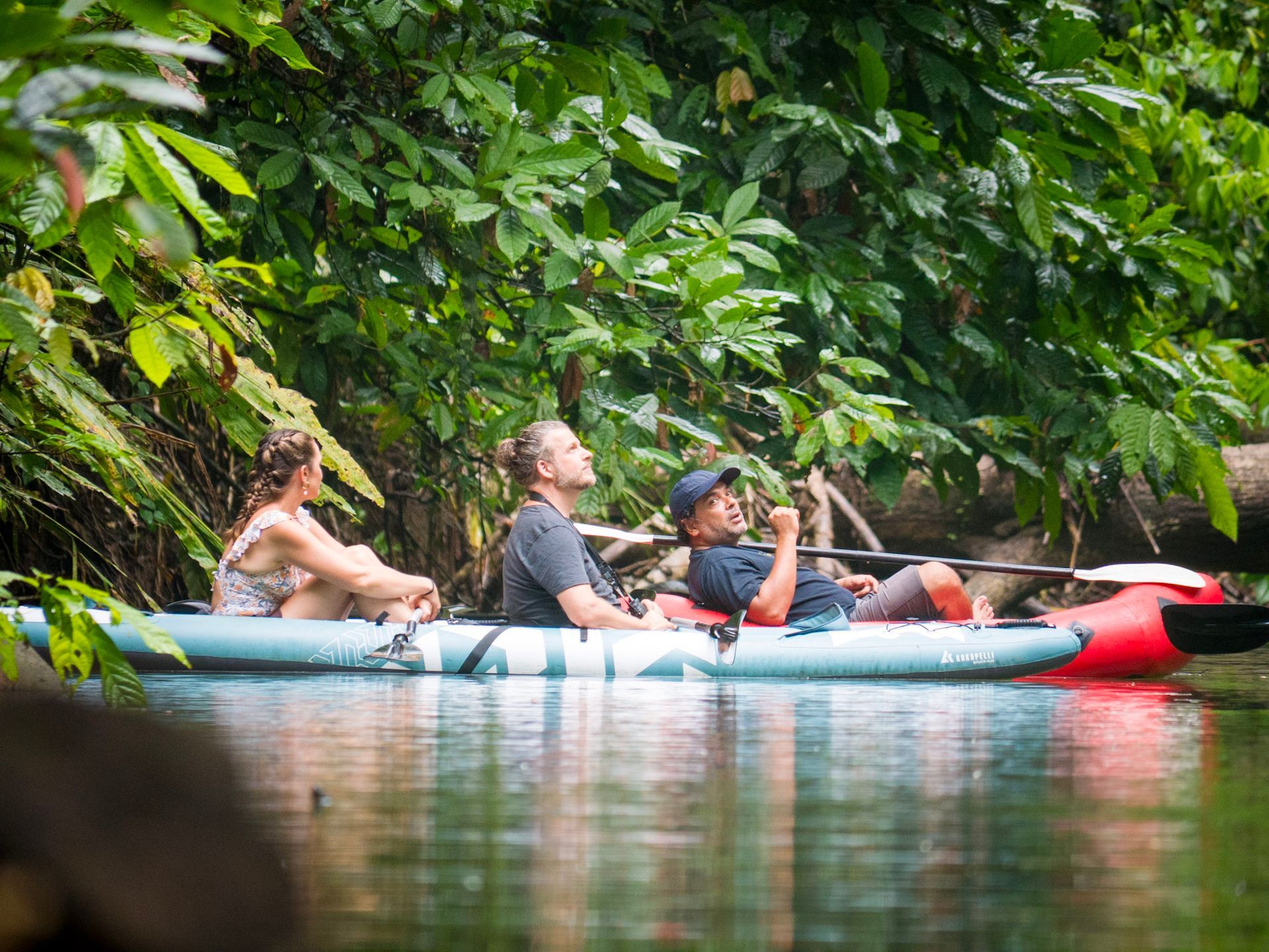 Guide pointing out wildlife during the Sloth and Kayak Tour in Punta Uva estuary, Puerto Viejo, Costa Rica.