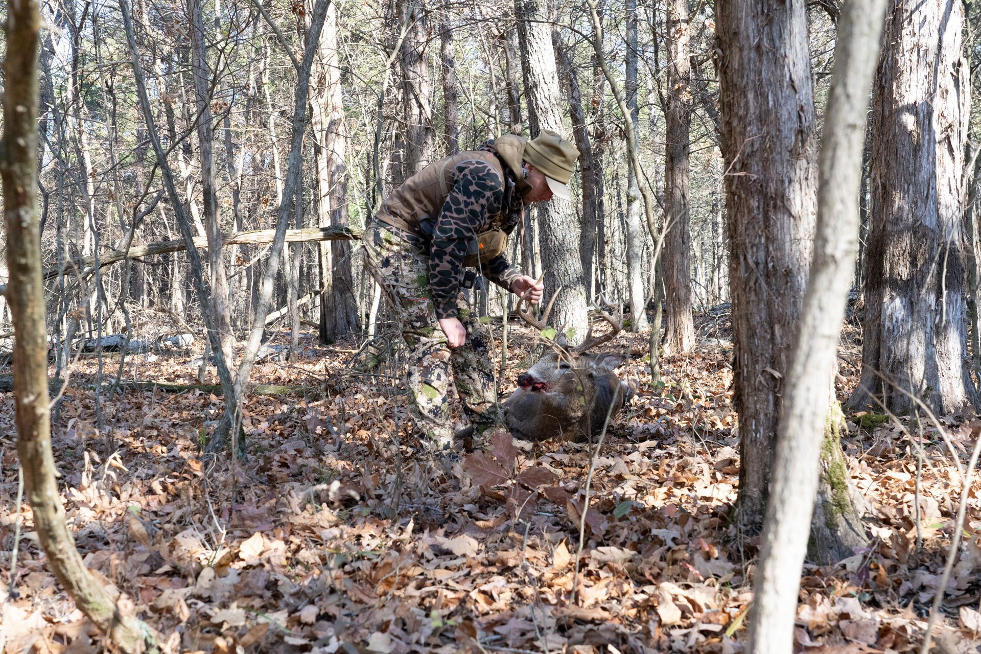 A man is walking through the woods with a dog.