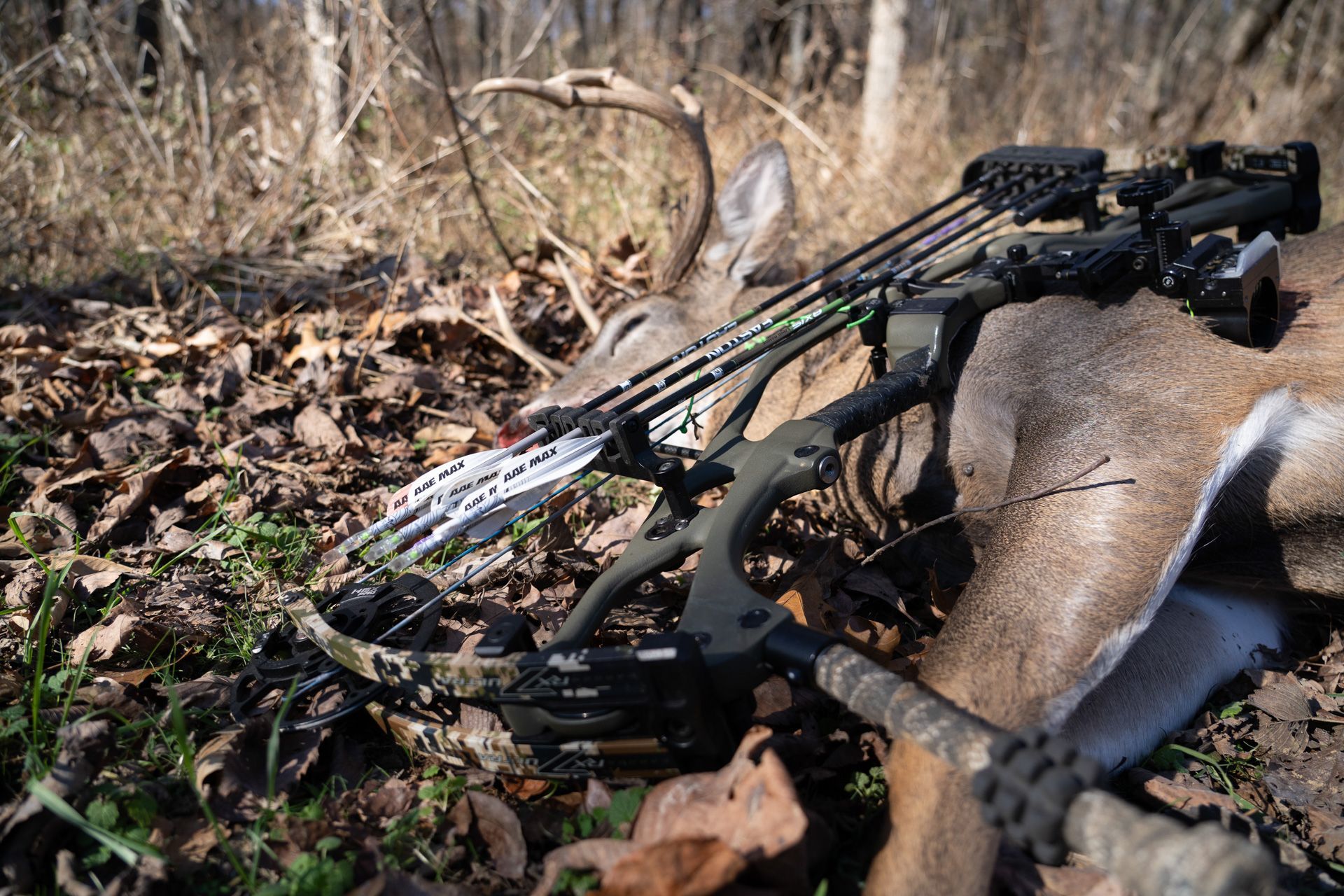Compound bow resting on leaves and a tree trunk in a wooded area