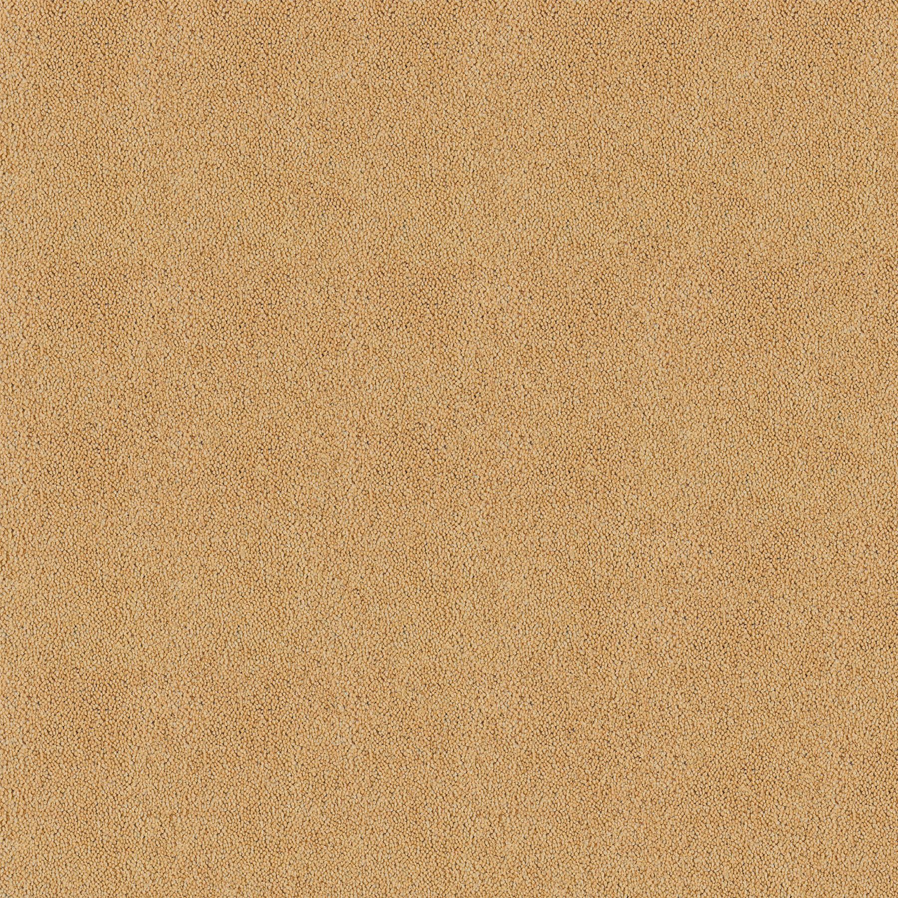 Desert Sand