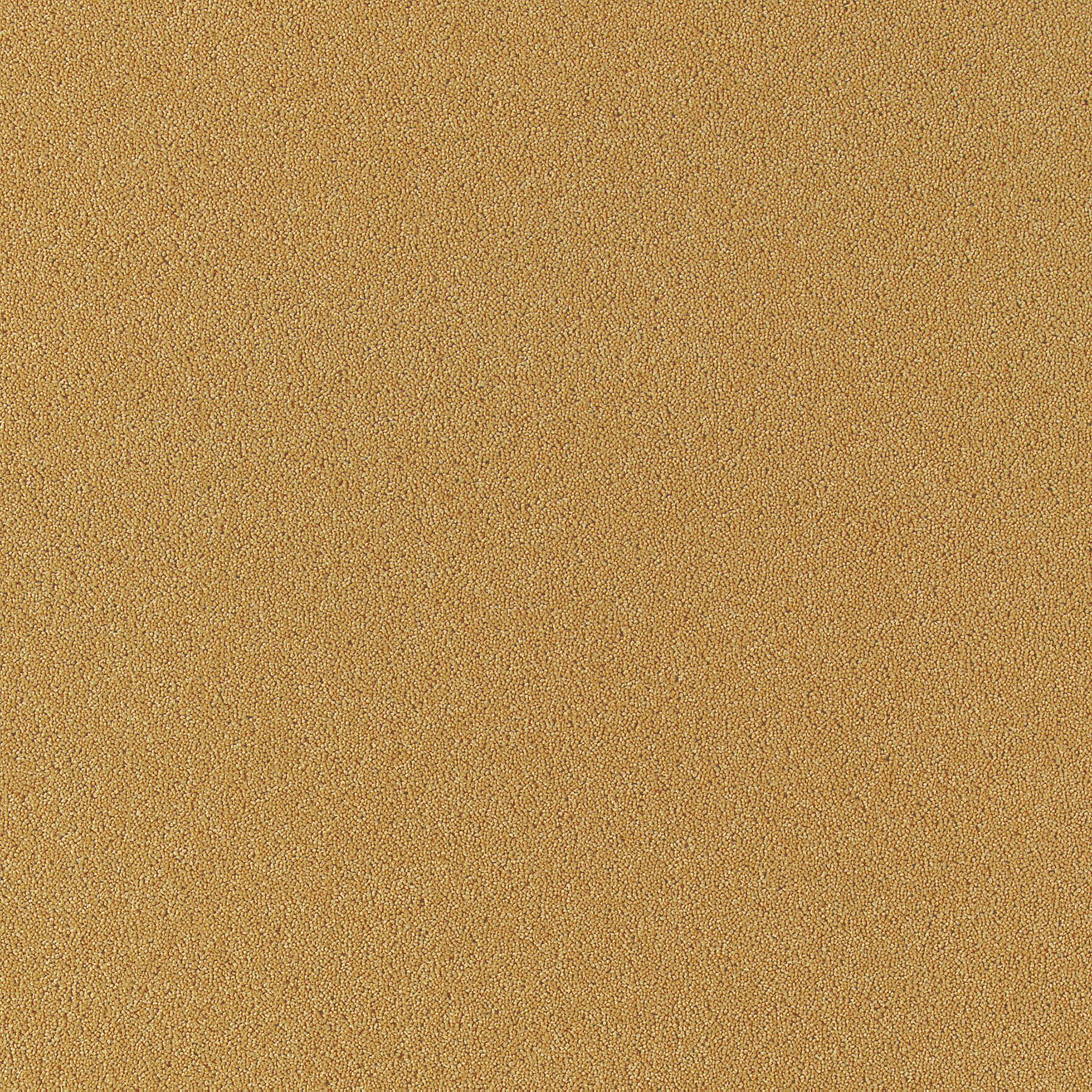 Luxor Gold