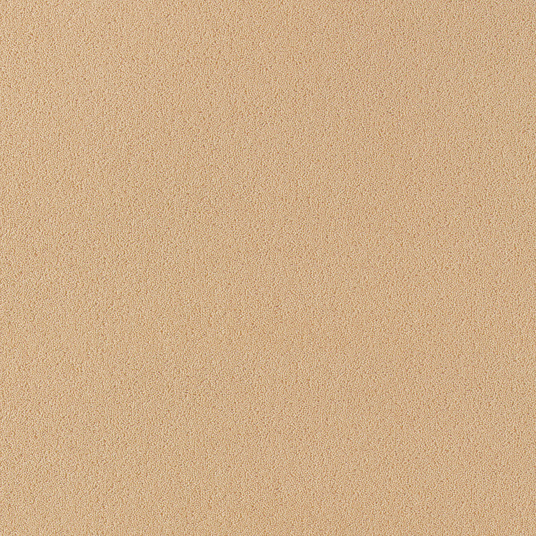 Indian Ivory