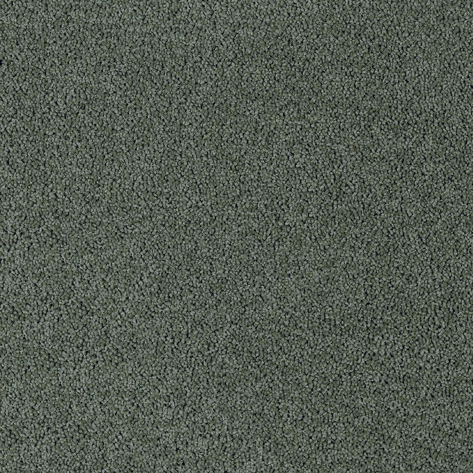 Scottish Pine