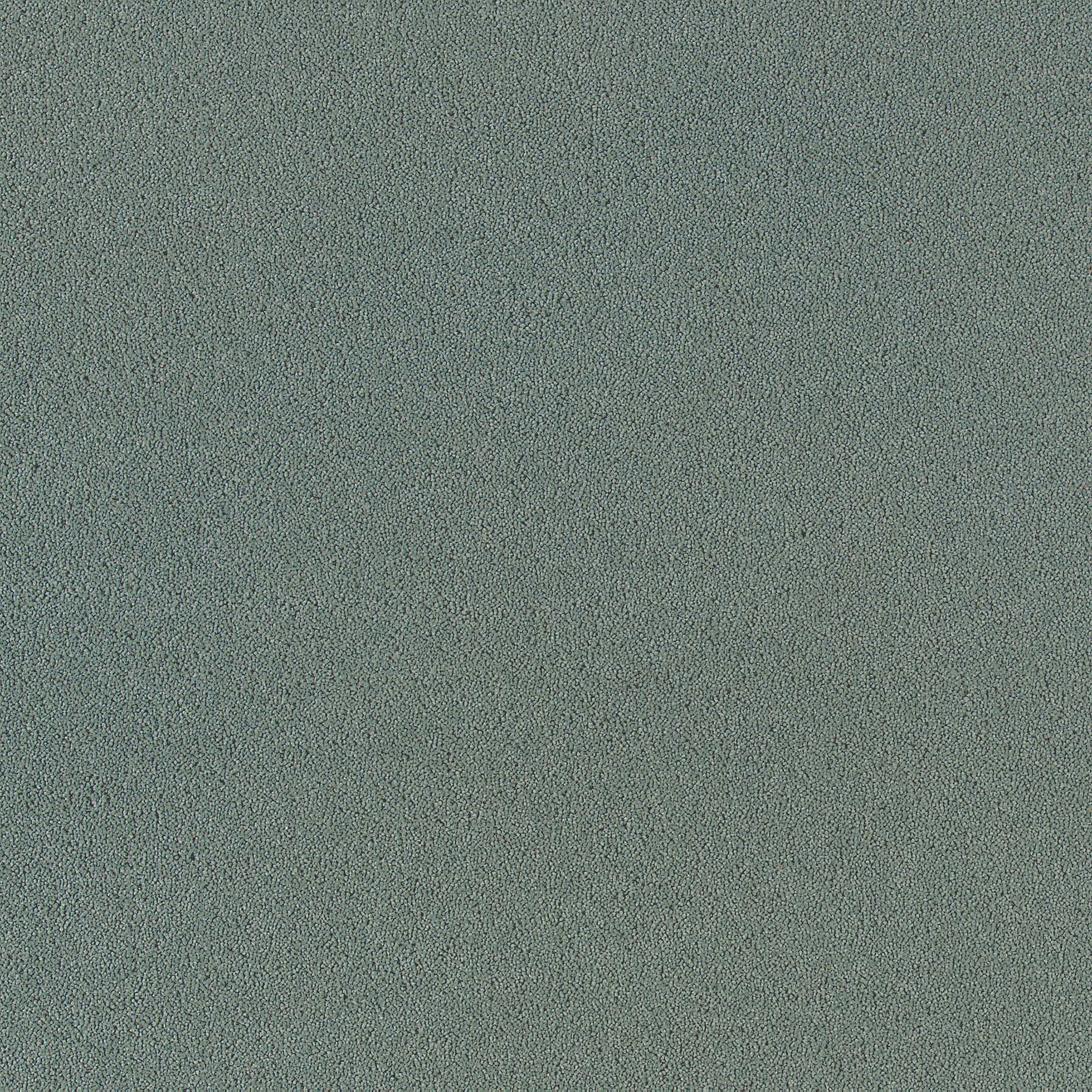 Silver Sage