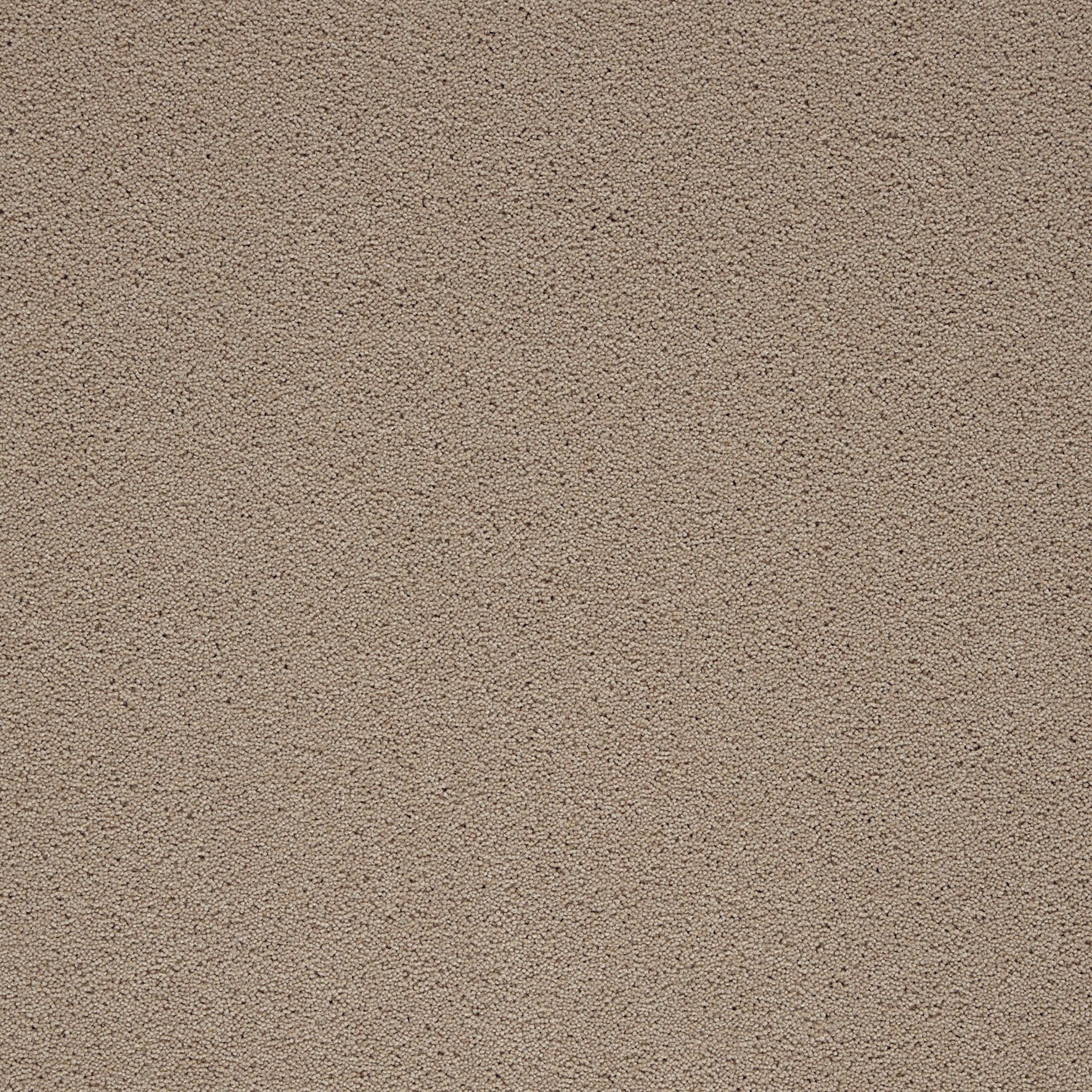 Parchment