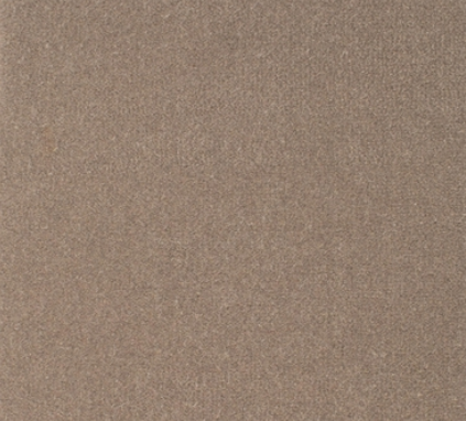 Albert Taupe