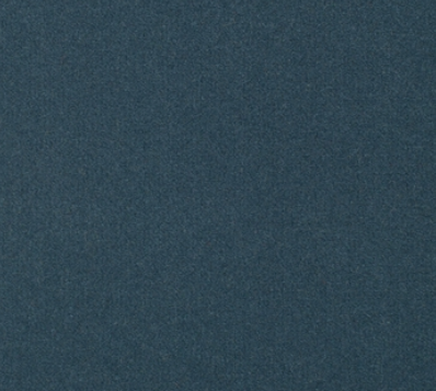Austen Teal