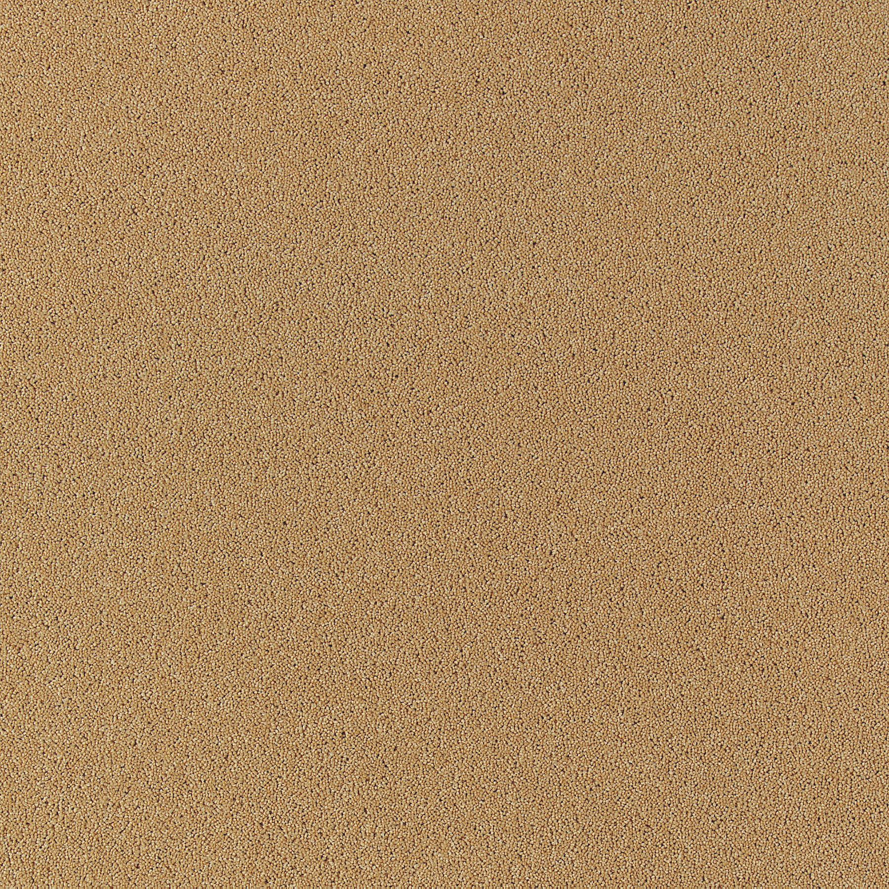 Kalahari Desert