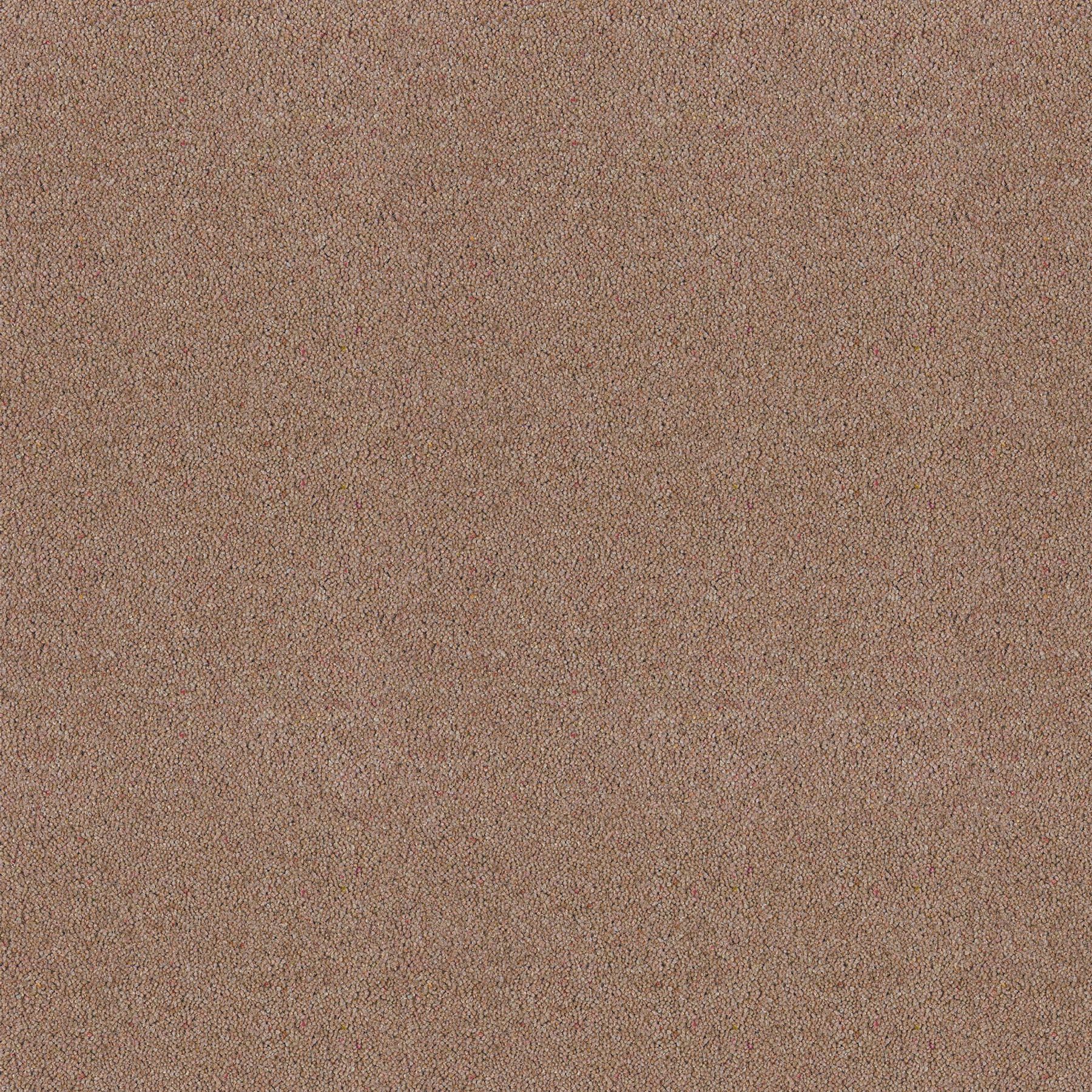 Italian Mocha