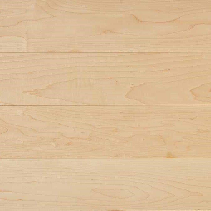Haldon Maple
