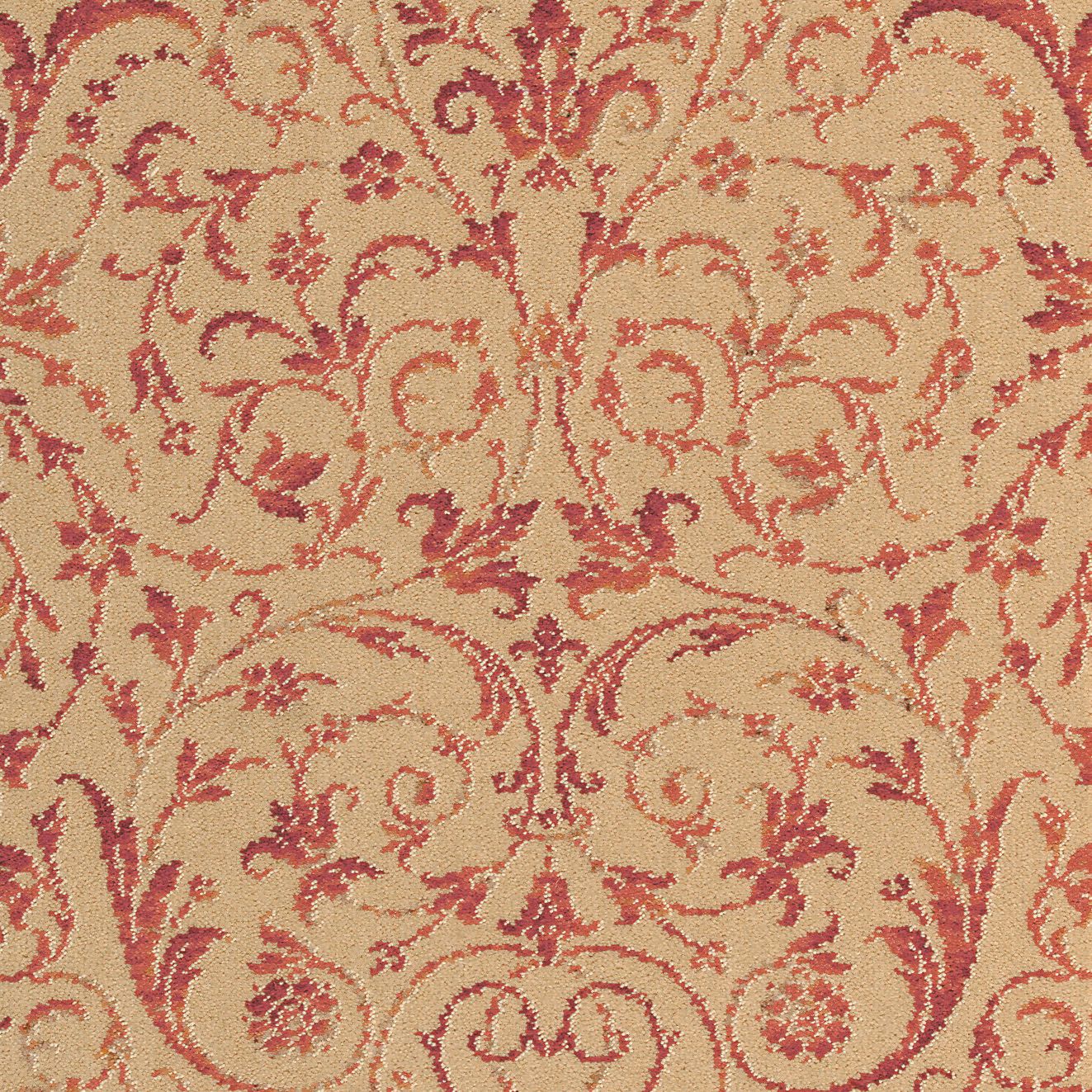 Malmaison Raspberry