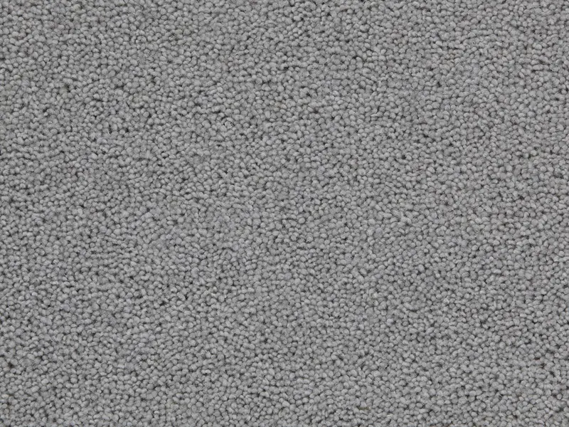 Dove Grey