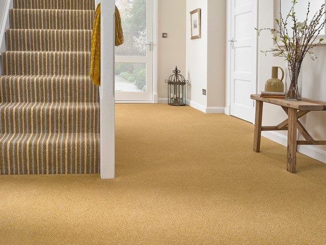 Tomkinson Twist & Stripe