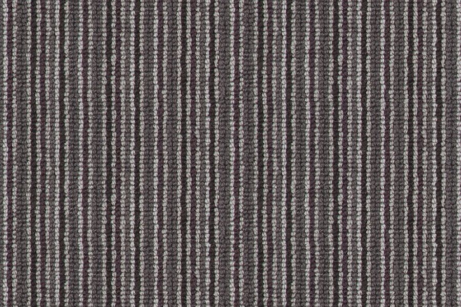 Wellington Carbon