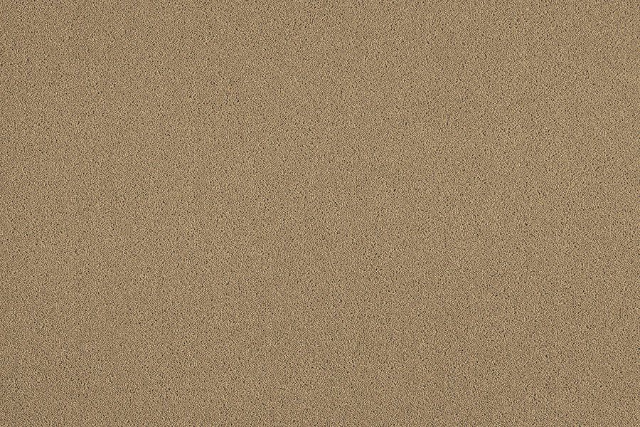 Parchment