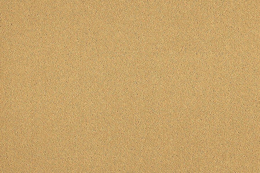 Sahara