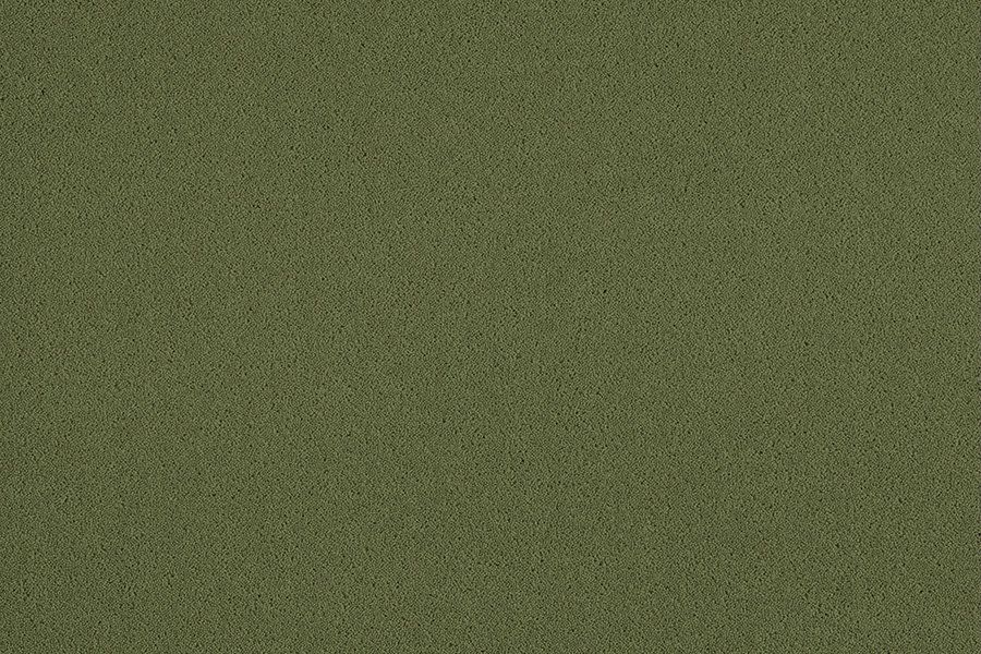Spruce