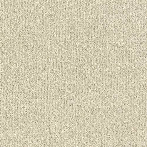 Dove Grey