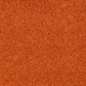 Salsa