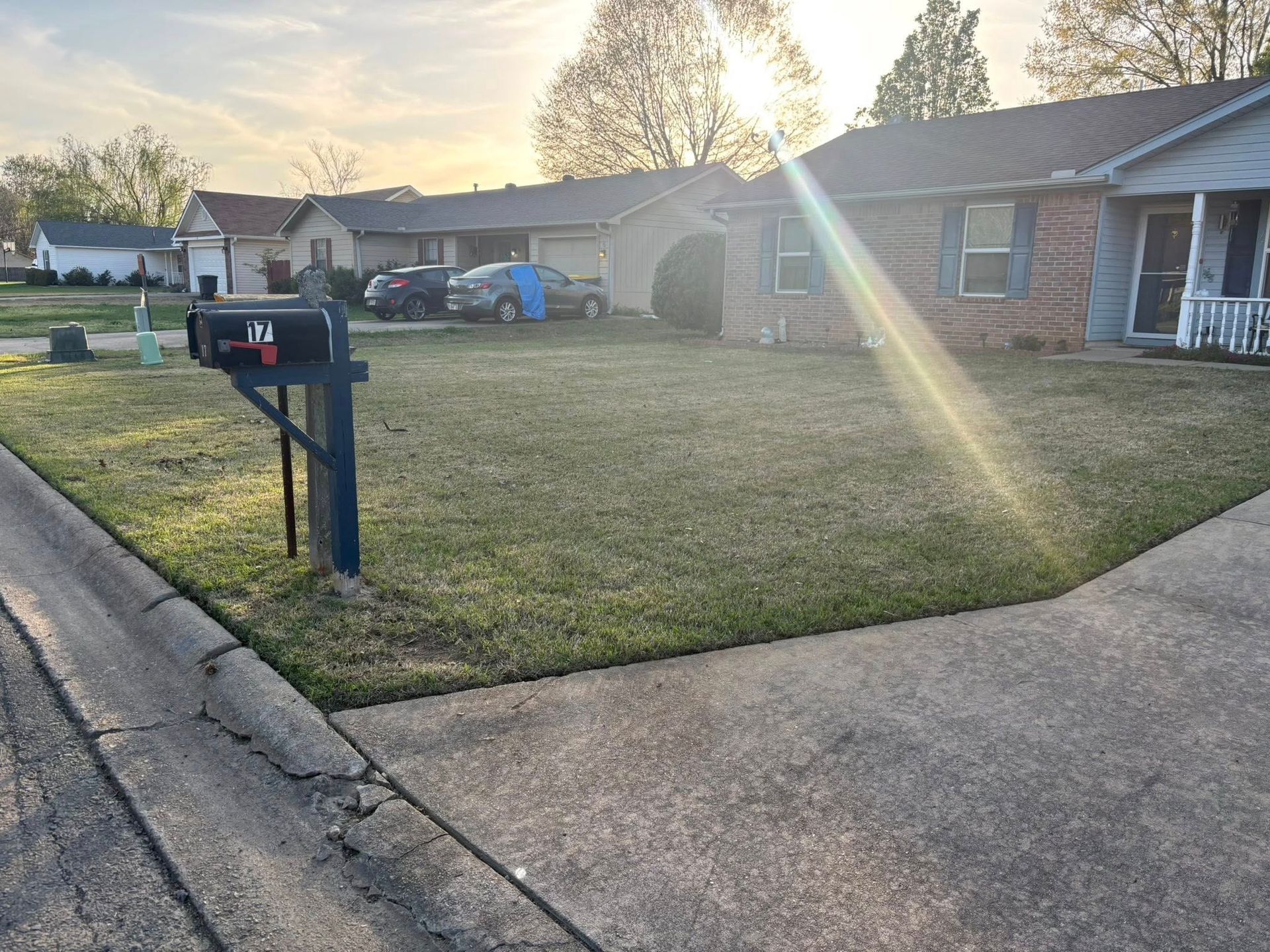 A sunlit residential street with houses, a front lawn, and a mailbox on a post in the foreground.