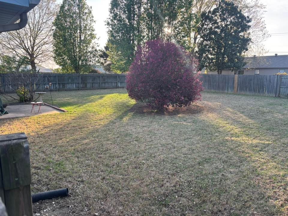 A backyard featuring a large purple-leafed bush in the center, a wooden fence, and a patio under warm sunlight.