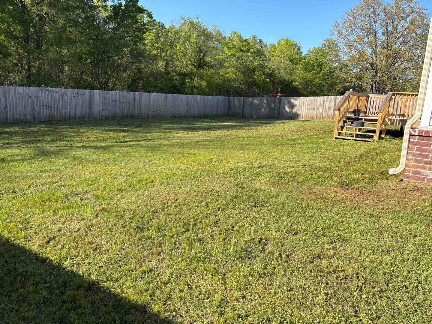 A backyard with a wooden fence, green grass, a wooden deck on the right, and a line of green trees in the background.
