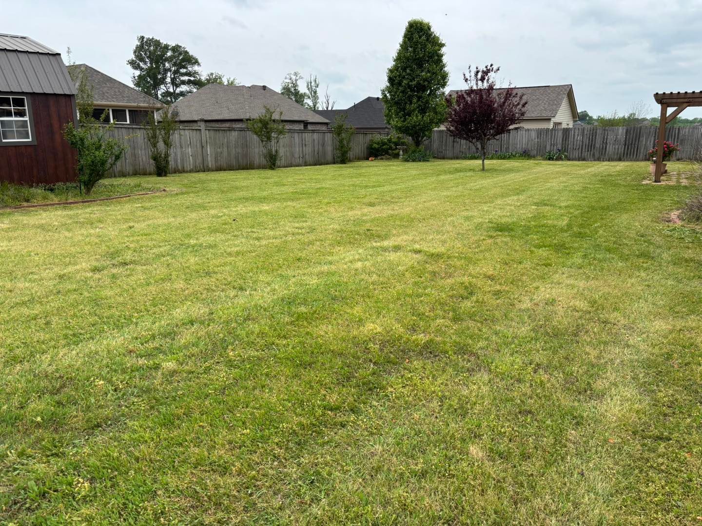 A large, flat residential backyard with green grass, a wooden fence, several small trees, a shed, and a wooden arbor.