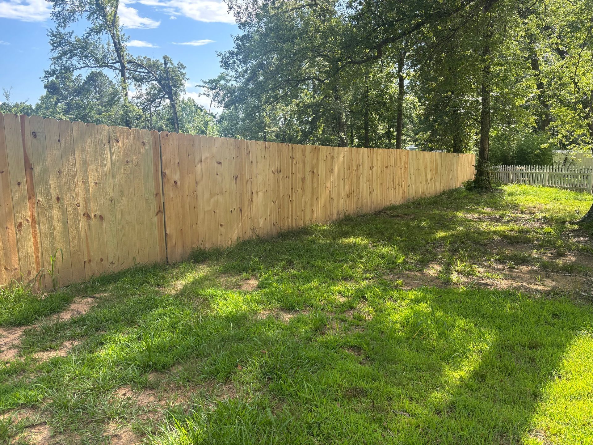 A long, flat plywood fence stands in a grassy yard, bordered by trees under a bright blue sky.