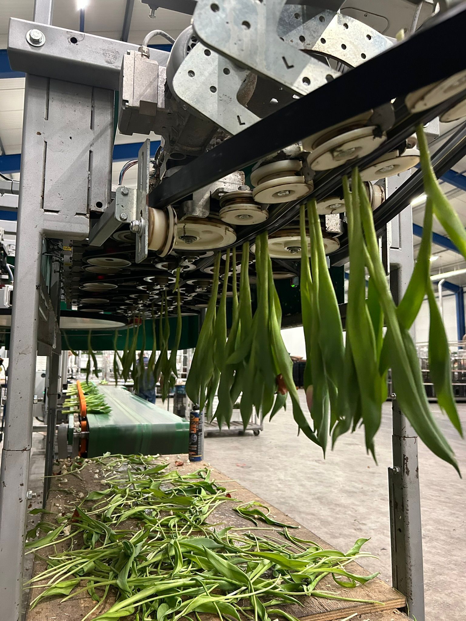 Bercomex Furora voor van der Baan en zonen te dirksland