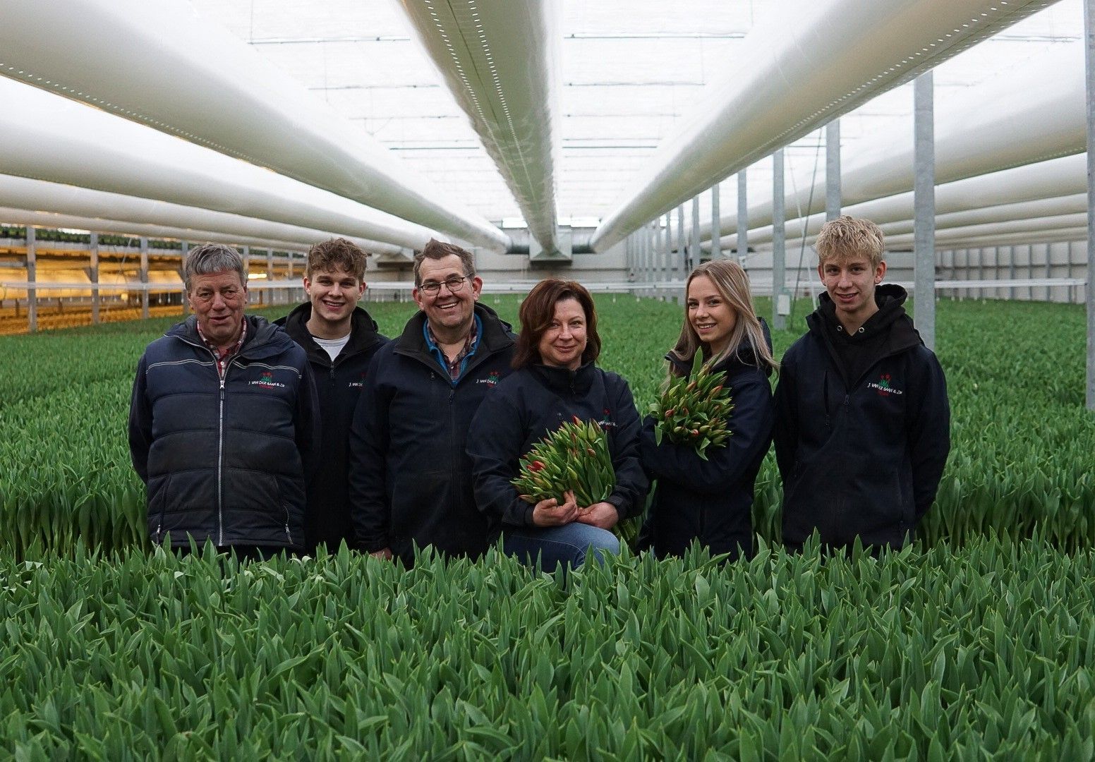 De nieuwe generatie van der Baan tulpen
