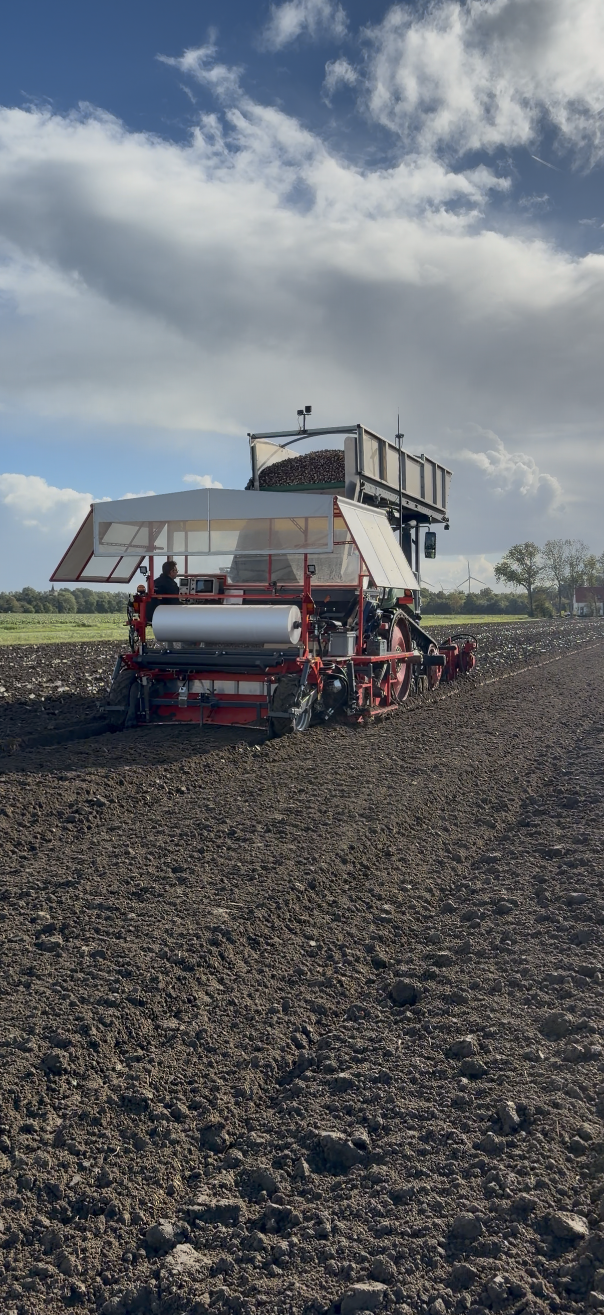 De plantmachine aan het werk op het veld