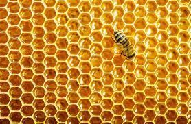 Honeycomb - צורת חלת דבש 
