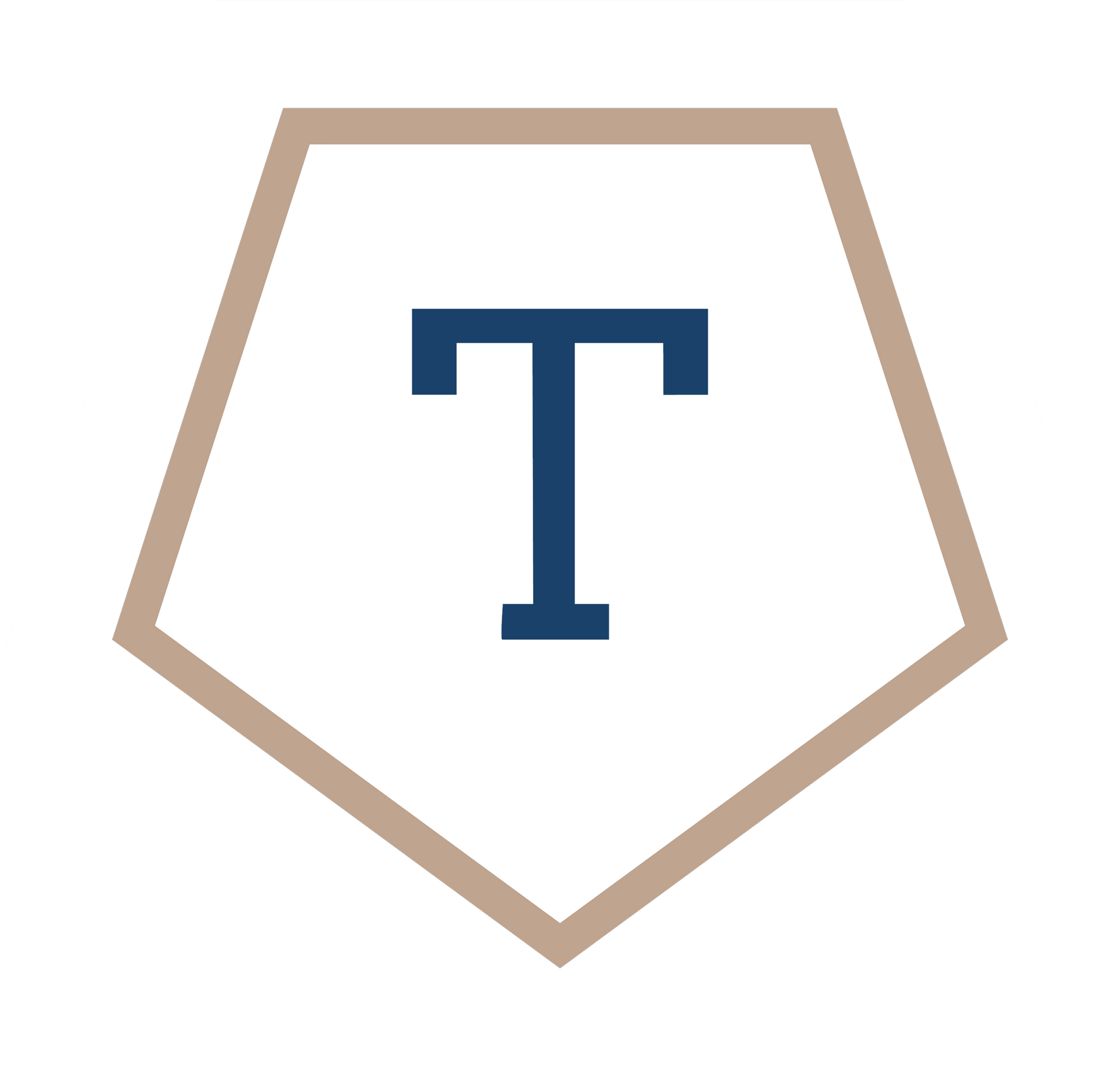 Triex Limited logo