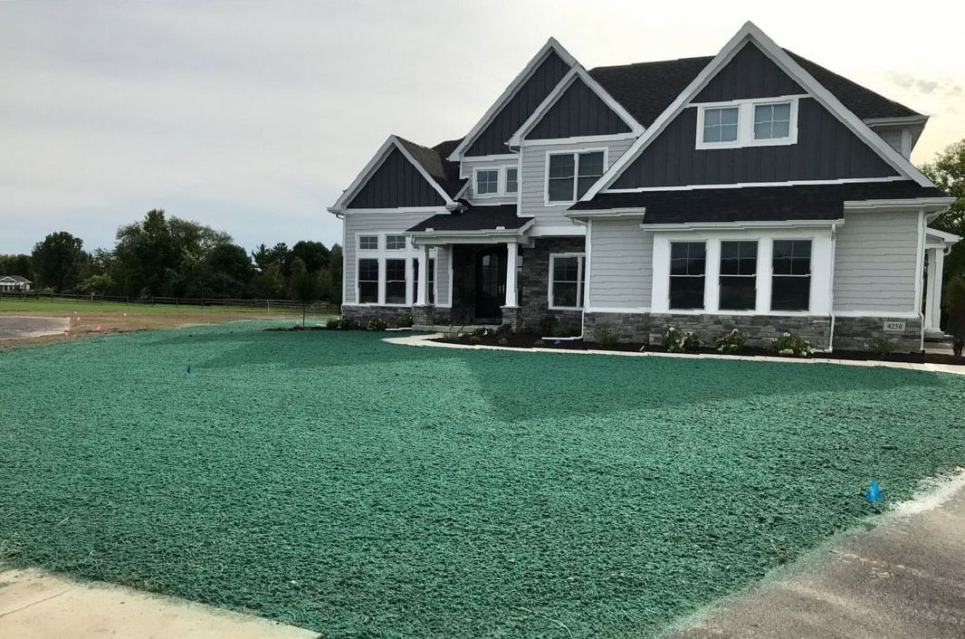 Hydroseeding 101: Guide to a Lush Lawn